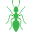 pest